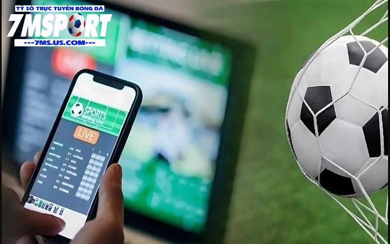 Tỷ số trực tuyến 7m