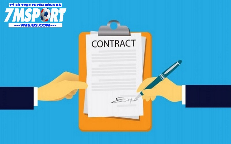Điều khoản 7m là quy định giúp nền tảng thể hiện sự uy tín